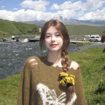 破坏性计划